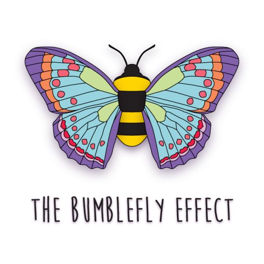 The Bumblefly Effect